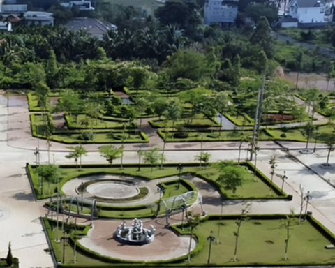 Đề nghị truy tố Chủ tịch Tổng Công ty Cây xanh Công Minh