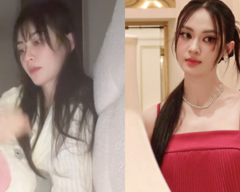 Vũ Thuý Quỳnh nên dừng lại