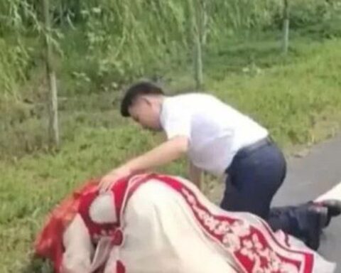 Đang rước dâu, cô dâu bất ngờ xuống xe quỳ lạy bên vệ đường