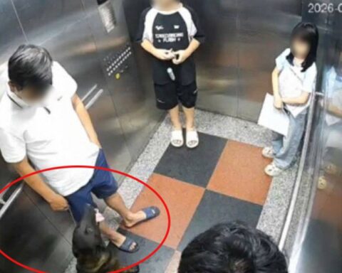 Người đàn ông bị đấm gục khi nhắc cư dân đeo rọ mõm cho chó ở Hà Nội: Cứ ngồi dậy là chóng mặt
