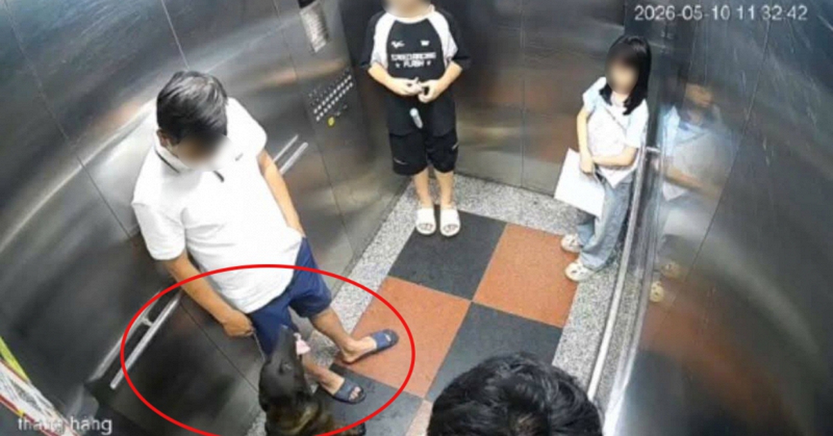 Người đàn ông bị đấm gục khi nhắc cư dân đeo rọ mõm cho chó ở Hà Nội: Cứ ngồi dậy là chóng mặt