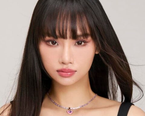 Tại sao Miu Lê không bị khởi tố?