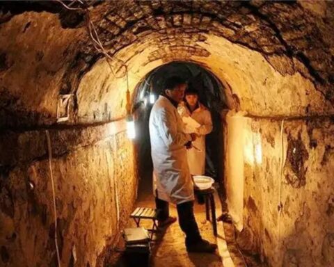 Khai quật mộ cổ 500 năm, chuyên gia bất ngờ khi thấy “quái thú” sống bên trong: Nó đã ở đó từ bao giờ?