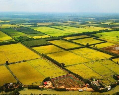Sửa Luật Đất đai: Hết thời đầu cơ, gom đất để đón đền bù?