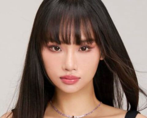 Vì sao Miu Lê bị khởi tố?