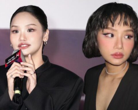 Sự nghiệp Miu Lê ảnh hưởng thế nào sau khi bị khởi tố tạm giam?