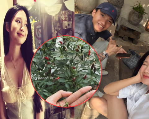 Doãn Hải My làm vợ Văn Hậu: Sáng học thạc sĩ, chiều về hái ớt chăm hoa, thế này ai còn thương hại nữa không?