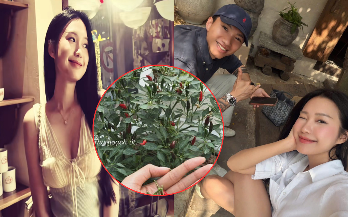 Doãn Hải My làm vợ Văn Hậu: Sáng học thạc sĩ, chiều về hái ớt chăm hoa, thế này ai còn thương hại nữa không?