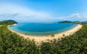 Lý do căn hộ nghỉ dưỡng view biển là lựa chọn hàng đầu trước chu kỳ tăng trưởng