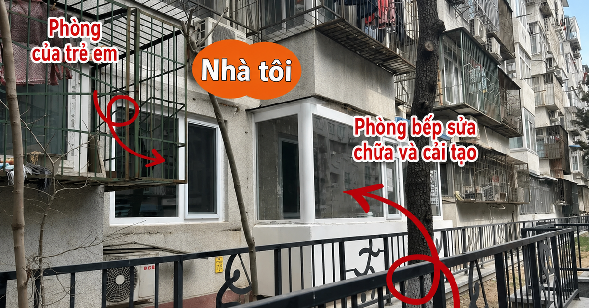 “Nhiều người chê căn hộ tầng 1 vừa cũ vừa tối, nhưng sau nửa năm sống ở đây, tôi thấy mình đã chọn đúng”: Câu chuyện khiến nhiều người suy nghĩ lại về chữ “an cư”