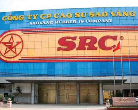 Cao su Sao Vàng dự kiến phát hành hơn 8,4 triệu cổ phiếu để tăng vốn