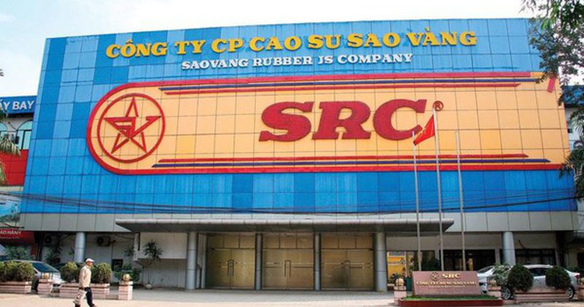 Cao su Sao Vàng dự kiến phát hành hơn 8,4 triệu cổ phiếu để tăng vốn