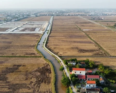 Bỏ cọc hàng loạt sau ‘sốt’ đấu giá đất vùng quê