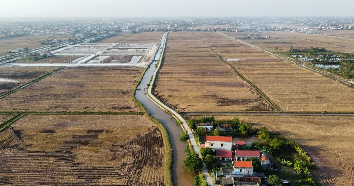 Bỏ cọc hàng loạt sau ‘sốt’ đấu giá đất vùng quê