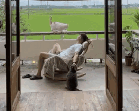 Chàng trai 9x sửa nhà khiến cả cõi mạng chú ý: View cánh đồng chill không thể tả, nhìn muốn bỏ phố về quê