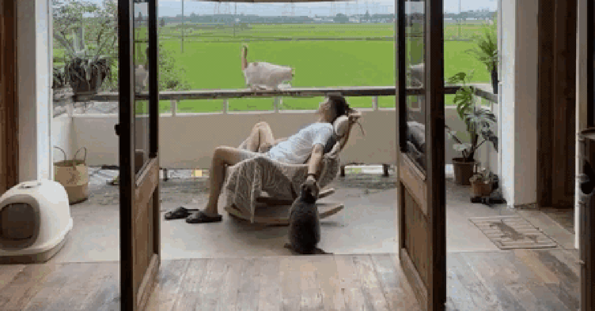 Chàng trai 9x sửa nhà khiến cả cõi mạng chú ý: View cánh đồng chill không thể tả, nhìn muốn bỏ phố về quê