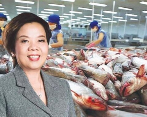 Vĩnh Hoàn của bà Trương Thị Lệ Khanh vừa chi gần 1.000 tỷ mua cổ phiếu quỹ