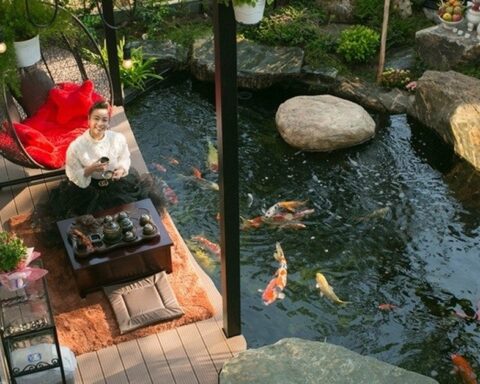 Nữ ca sĩ Việt tự sinh con, 41 vẫn chưa lấy chồng: Sống chill trong biệt thự 20 tỷ view nhìn thẳng sông
