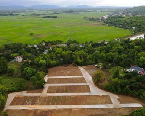 Thanh Hóa phản hồi vụ san gạt cả quả đồi, phân lô bán nền tại nhiều nơi