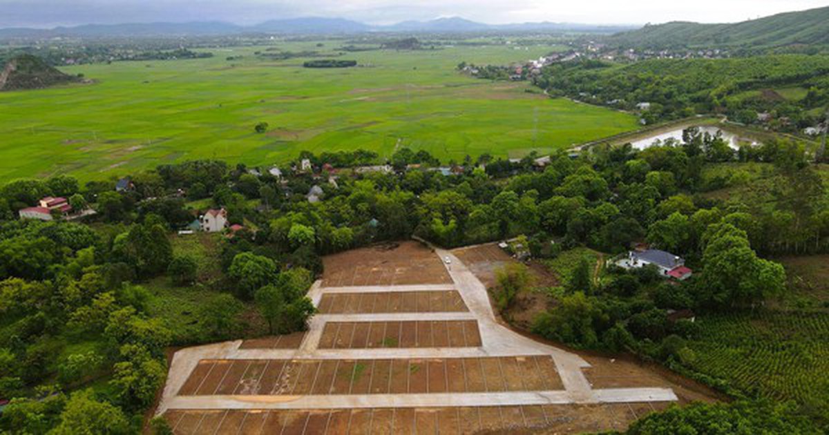 Thanh Hóa phản hồi vụ san gạt cả quả đồi, phân lô bán nền tại nhiều nơi