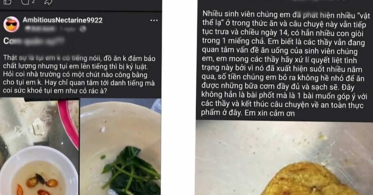 “Vật thể lạ trong thức ăn” của sinh viên ở Huế: Kết quả xác minh thế nào?