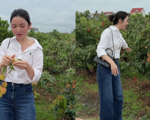 Chu Thanh Huyền gặp sự cố giữa vườn vải