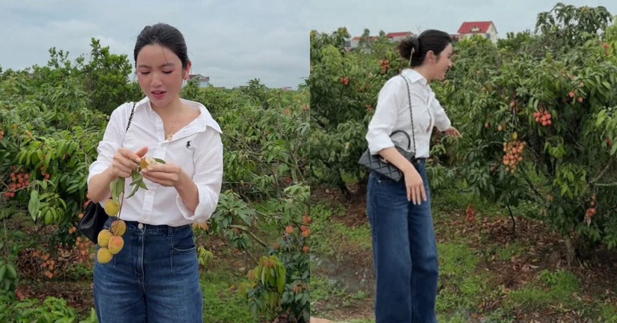 Chu Thanh Huyền gặp sự cố giữa vườn vải