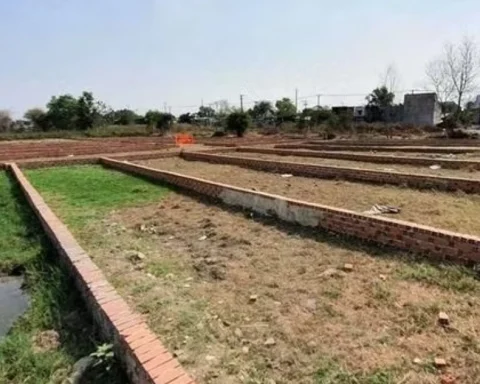 Rà soát diện rộng tình trạng phân lô bán nền tự phát