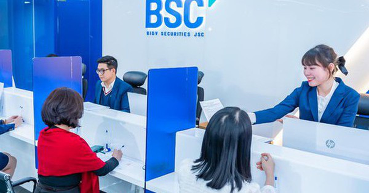 BSC sắp trả cổ tức bằng cổ phiếu tỷ lệ 10%