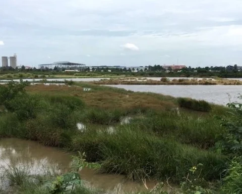 Hơn 2.000 ha đất bị loại khỏi danh sách thí điểm làm nhà ở thương mại