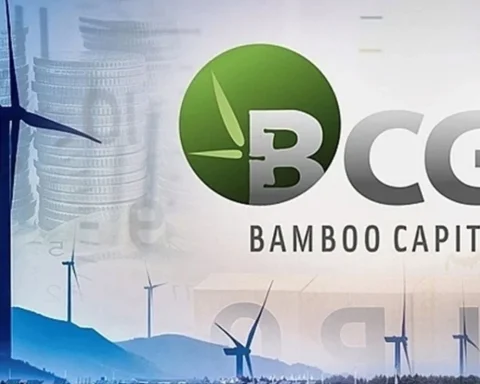 Số phận cổ phiếu Bamboo Capital