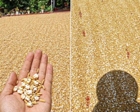 Mặt đường gần 50 độ C, lao động tự do kiệt sức giữa đợt nắng đỉnh điểm ở Hà Nội
