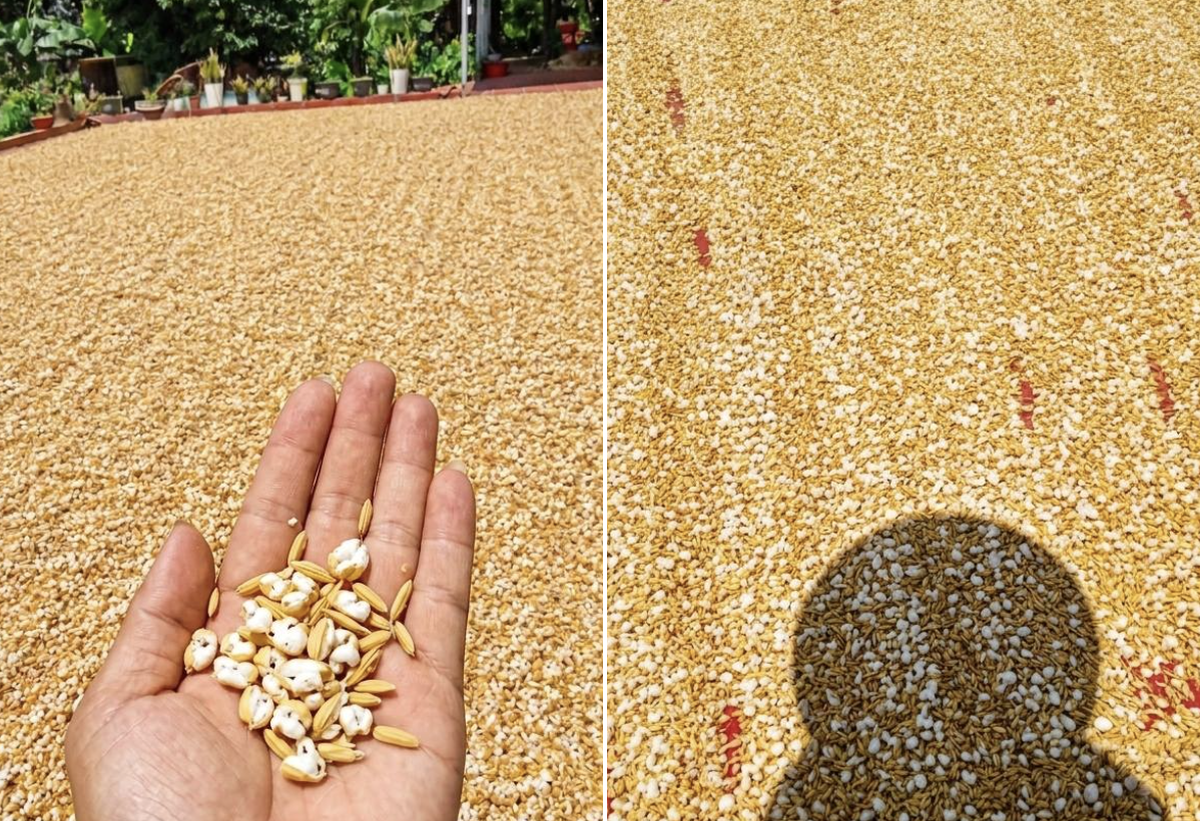 Mặt đường gần 50 độ C, lao động tự do kiệt sức giữa đợt nắng đỉnh điểm ở Hà Nội