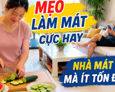 Vợ tôi chỉ dùng vài mẹo đơn giản mà căn phòng mát hẳn giữa ngày 38 độ: Có cách còn giúp điều hòa đỡ tốn điện