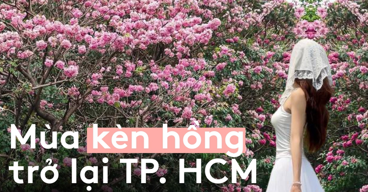 Sống ở TP.HCM hơn 10 năm mới thấy mùa kèn hồng “ngang ngược” thế này, bảo sao ai cũng rần rần xách máy lên phố!