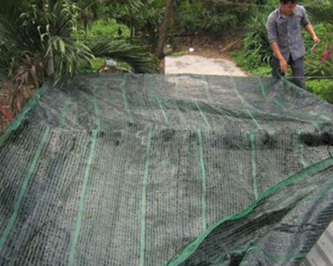 Làm thế nào để chống nóng hiệu quả cho nhà tầng trên cùng? 7 cách giúp giảm vài độ trong mùa hè, ngủ ngon mà không phải bật điều hòa cả đêm