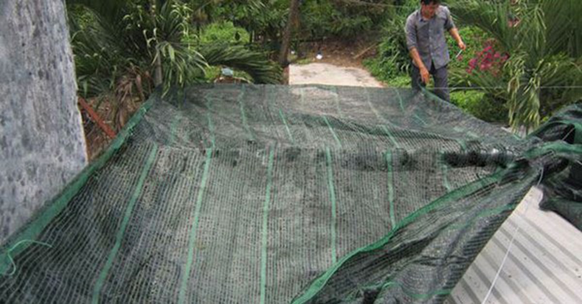 Làm thế nào để chống nóng hiệu quả cho nhà tầng trên cùng? 7 cách giúp giảm vài độ trong mùa hè, ngủ ngon mà không phải bật điều hòa cả đêm