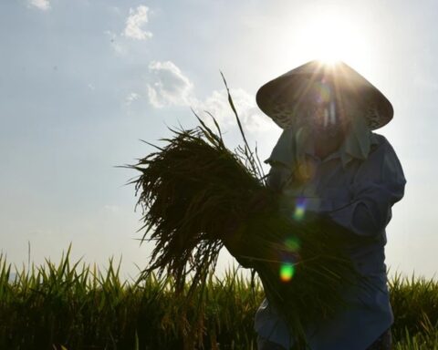 Liên tục tiếp nhận các trường hợp sốc nhiệt do nắng nóng