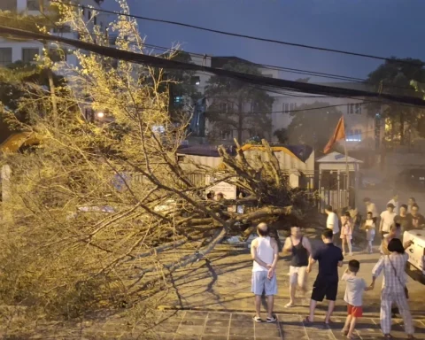 Hà Nội: Sau nắng nóng kỷ lục, mưa to gió lớn giật tung cây xanh, ôtô bị đè bẹp giữa phố