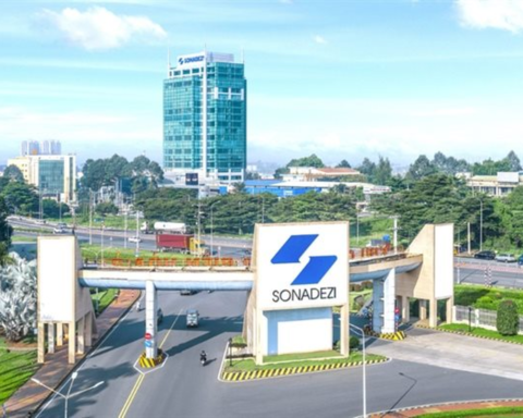Bắt trưởng Ban kiểm soát Sonadezi