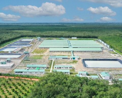 Baf Việt Nam chuẩn bị phát hành hơn 60 triệu cổ phiếu cho cổ đông