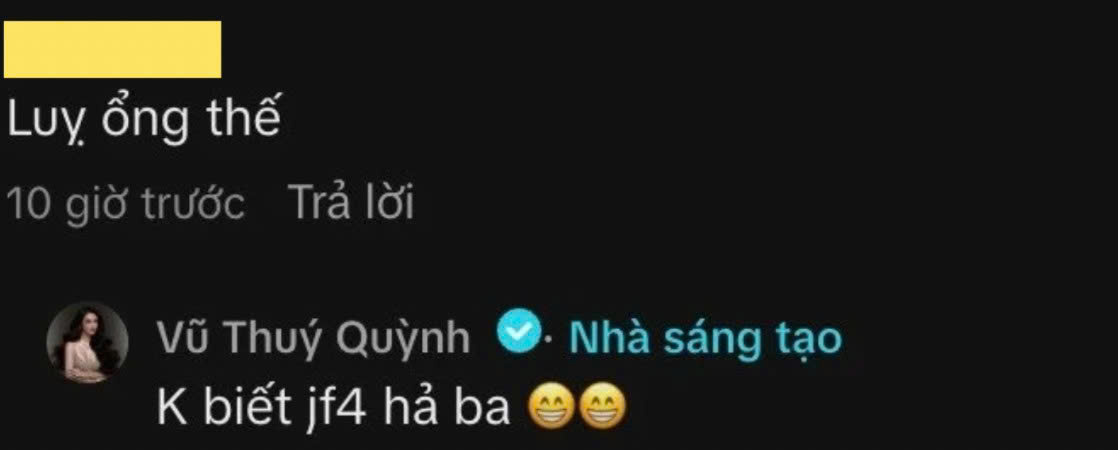 Vũ Thuý Quỳnh nên dừng lại- Ảnh 2.