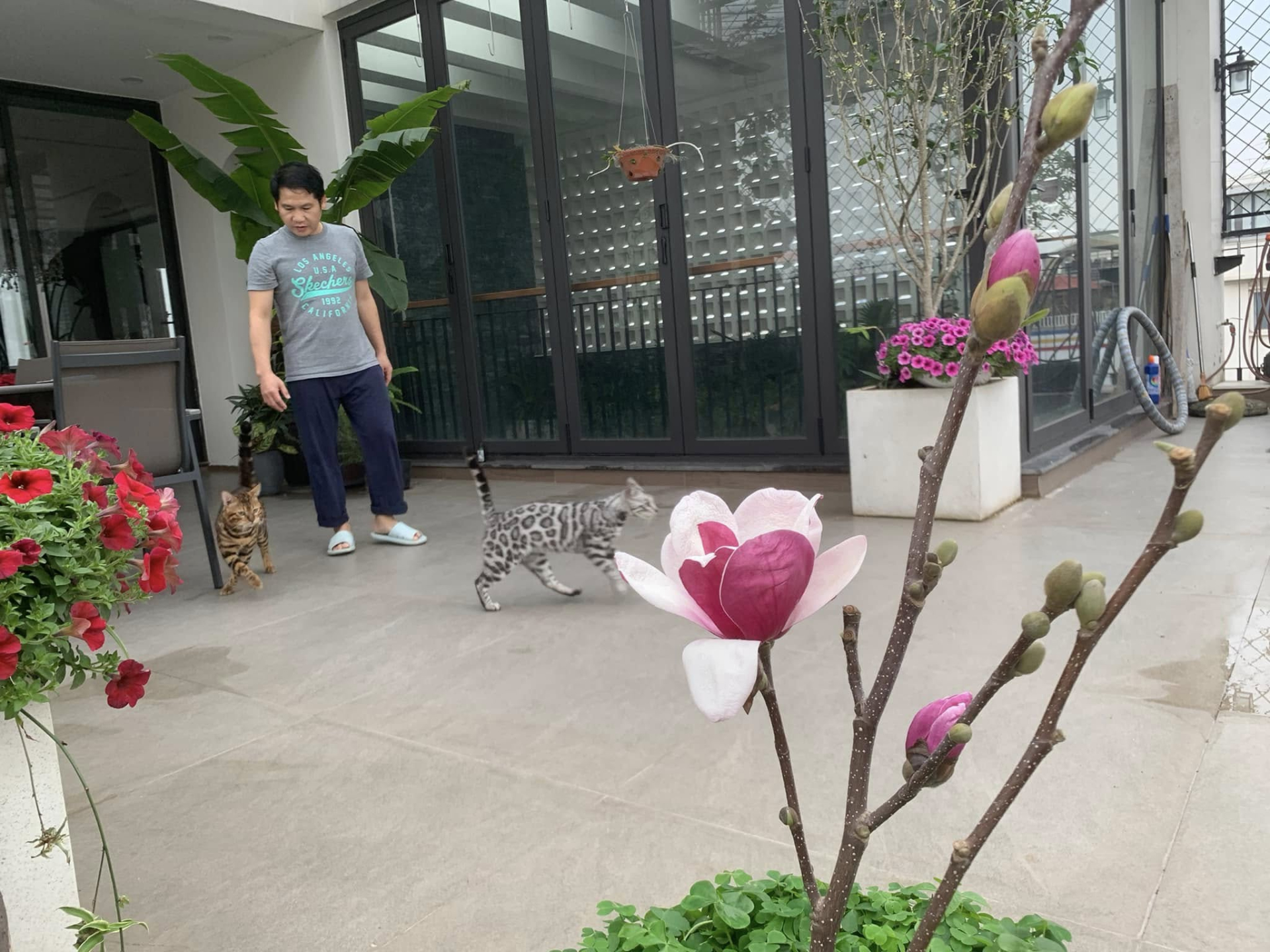 "Ông hoàng nhạc đỏ" cưới vợ vừa đẹp vừa giỏi, vui thú điền viên trong biệt thự 4000m2 ở Hà Nội- Ảnh 7.
