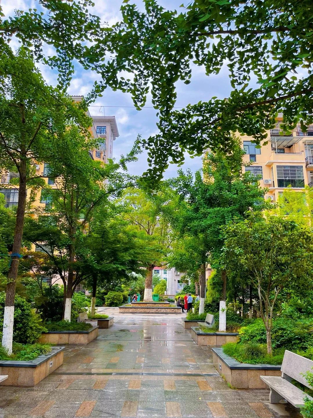 Rời căn hộ tầng 32 để về khu tập thể cũ, tôi mới hiểu sống thoải mái không nằm ở việc nhà cao bao nhiêu tầng- Ảnh 4.