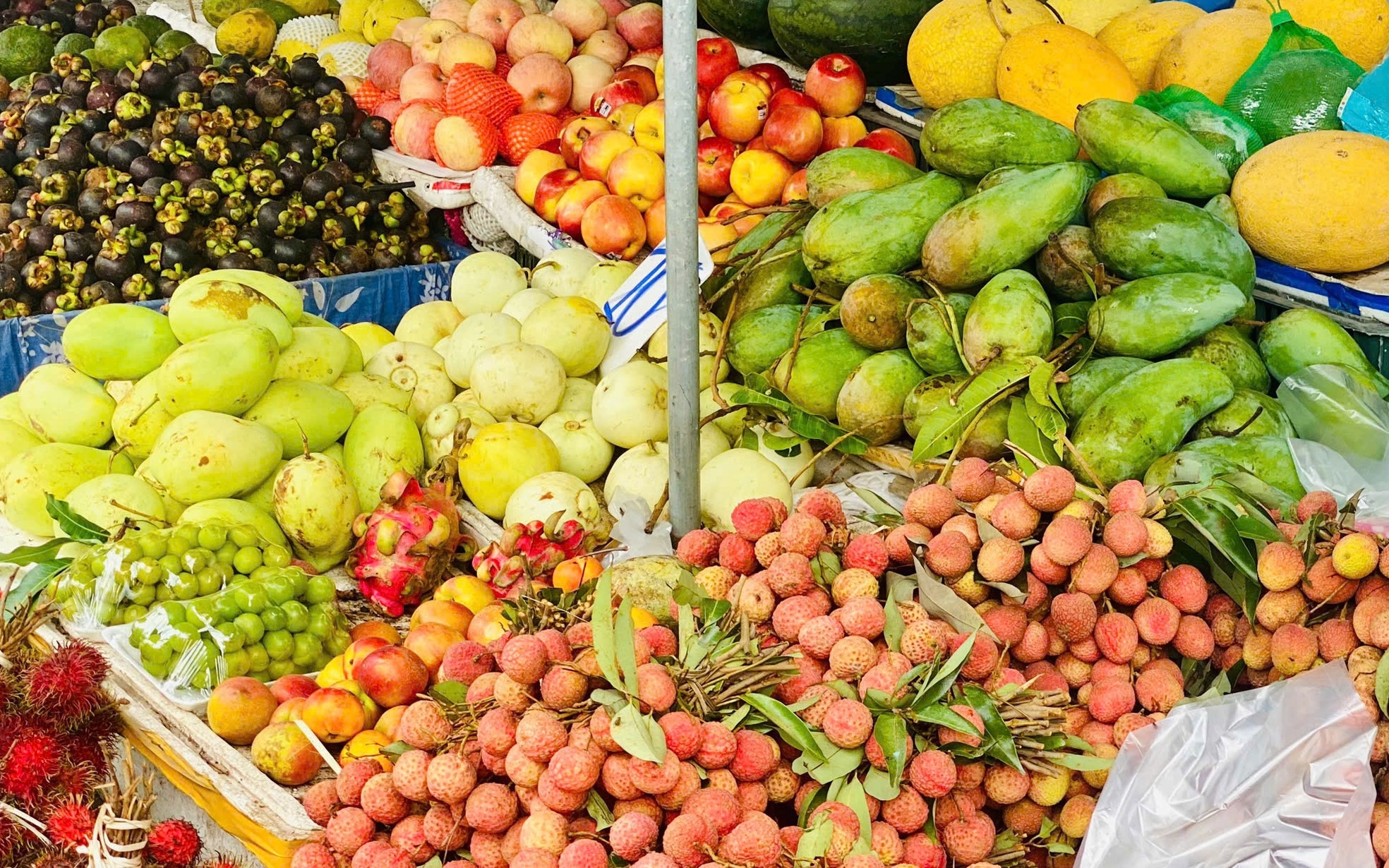 Người phụ nữ bị ký sinh trùng bò vào hốc mắt, suýt mù, bác sĩ cảnh báo 1 thói quen nhiều người Việt mắc phải - Ảnh 2.