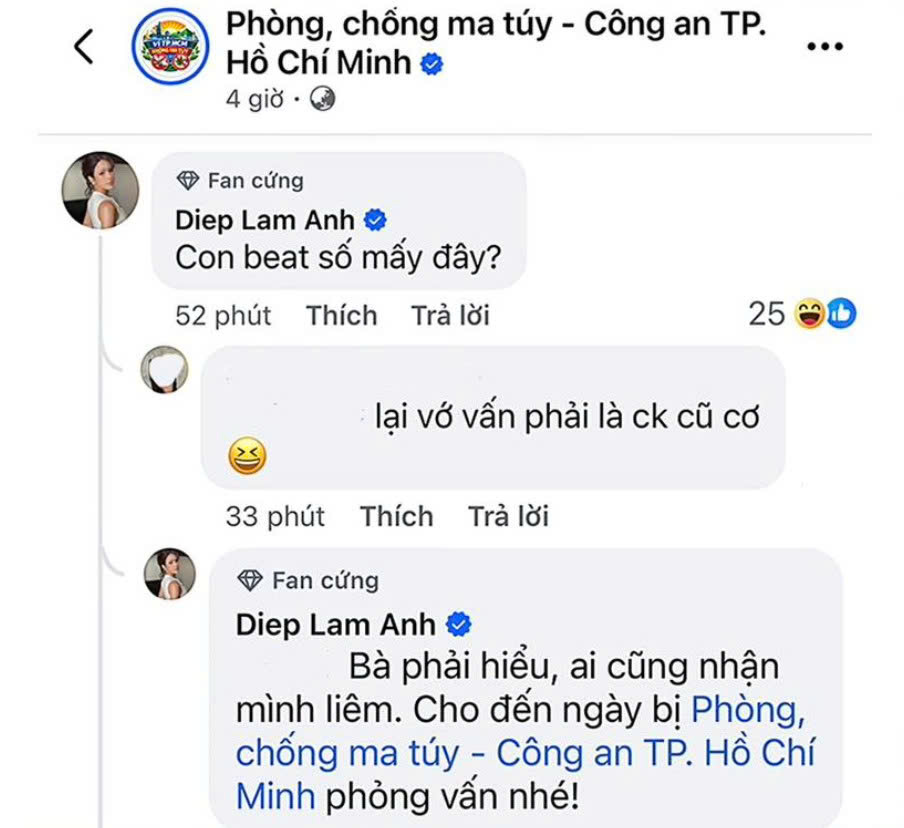 Diệp Lâm Anh lên tiếng nóng- Ảnh 1.