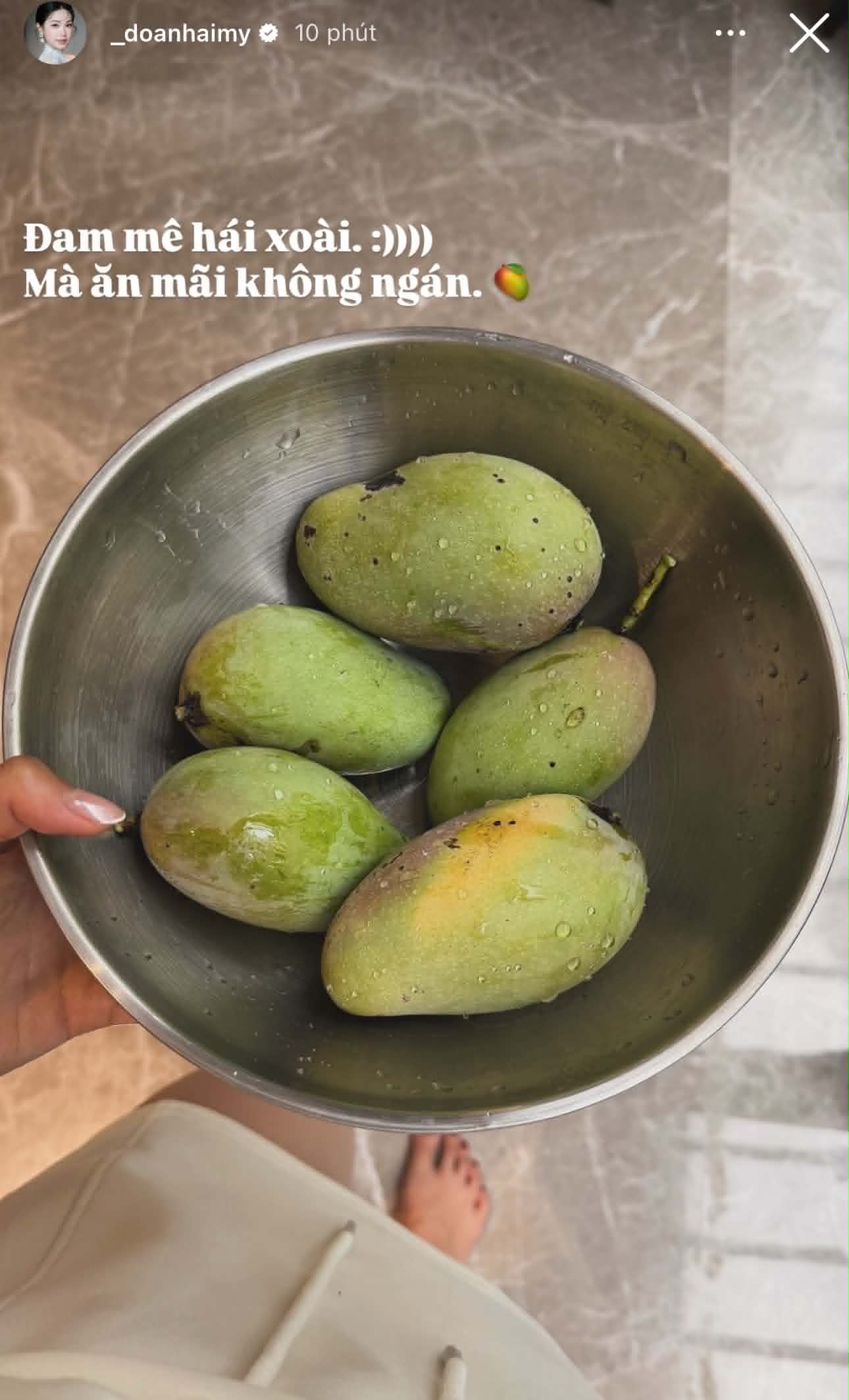 Doãn Hải My làm vợ Văn Hậu: Sáng học thạc sĩ, chiều về hái ớt chăm hoa, thế này ai còn thương hại nữa không? - Ảnh 3.