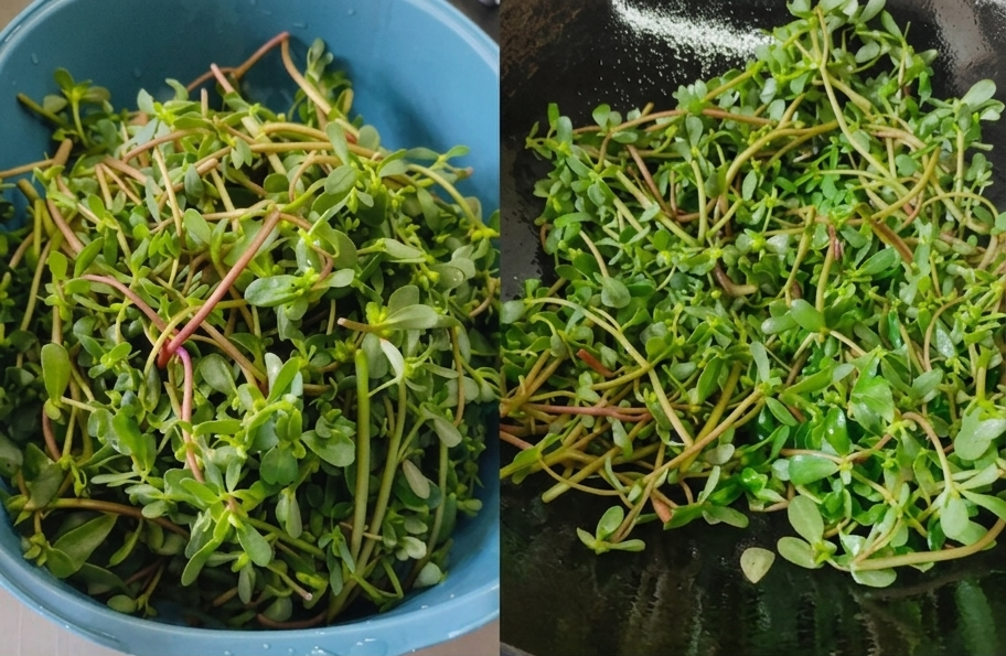 4 món rau này là lựa chọn hàng đầu để ăn trong mùa hè: Dễ nấu lại ngon miệng và giúp thanh nhiệt, tốt cho tỳ vị- Ảnh 3.
