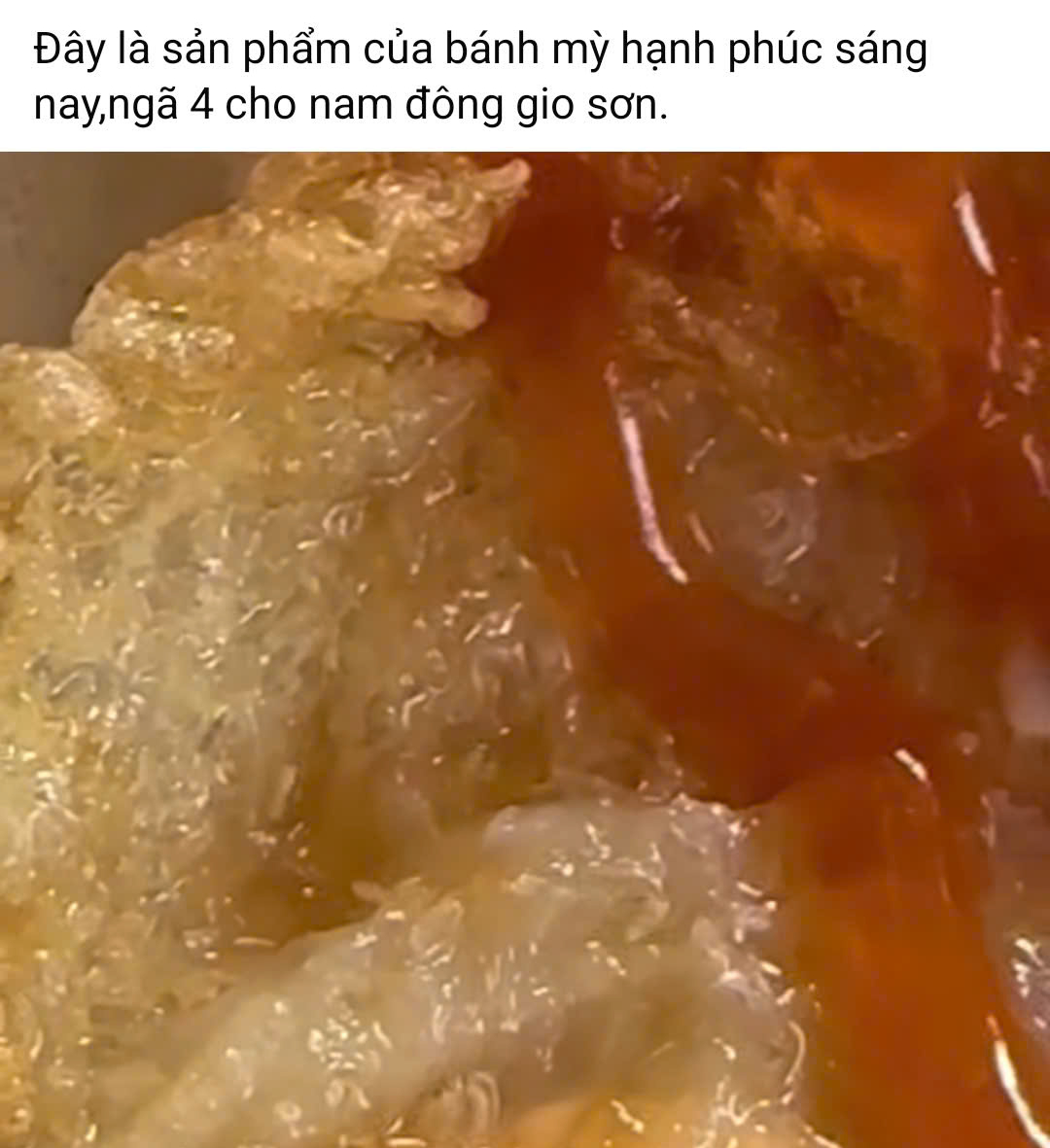 Vụ dòi lúc nhúc trong hộp xôi: Loạt vi phạm tại cơ sở bánh mì - Ảnh 1.