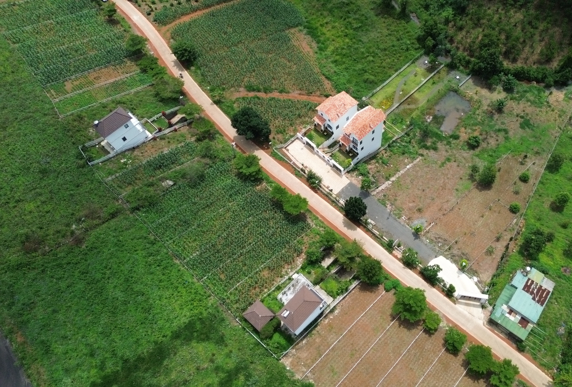 Lâm Đồng: Ngăn chặn quảng cáo dự án 